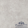 картинка SPC ламинат DAMY FLOOR Ascent Броуд-Пик/Broad Peak 125-2 от магазина Parket777