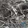 картинка Кварцвиниловая плитка Wonderful Vinyl Floor Stonecarp Бельведер Dark SN17-07-19 от магазина Parket777