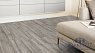 картинка Ламинат Kaindl Classic Touch 8.0 Standard plank Дуб Манор 34268 VS от магазина Parket777