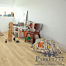картинка Кварцвиниловая плитка Pergo Classic Plank Click Дуб Бежевый V3107-40018 от магазина Parket777