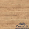 картинка Ламинат Ter Hurne TREND LINE Дуб Камберлендский светло-коричневый 1327 от магазина Parket777